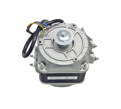Slika ELEKTROMOTOR 10W EVO SP